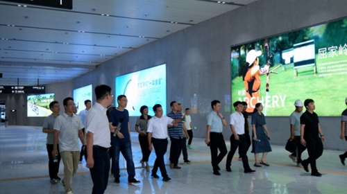 图片1 图片1