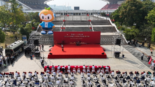 图片1 图片1